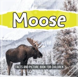 Capa do artigo Moose