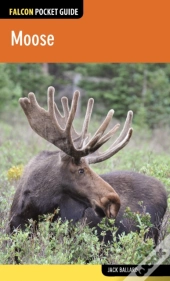 Moose