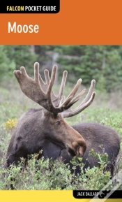 Capa do artigo Moose
