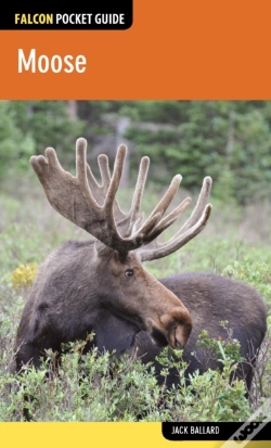 Capa do artigo Moose