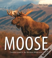 Capa do artigo Moose