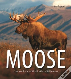 Capa do artigo Moose
