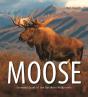 Moose - Preview