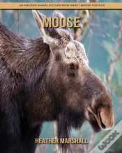 Capa do artigo Moose