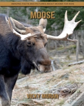 Capa do artigo Moose