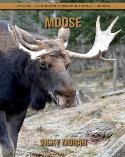 Capa do artigo Moose