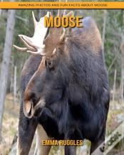 Moose