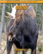 Moose - Preview