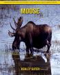Moose - Preview