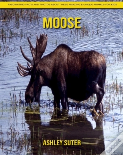Capa do artigo Moose