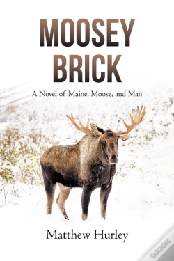 Capa do artigo Moosey Brick