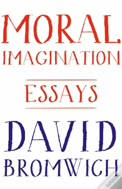 Capa do artigo Moral Imagination