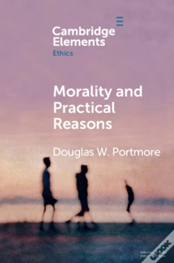 Capa do artigo Morality And Practical Reasons
