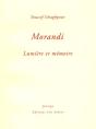 Morandi ; Lumiere Et Memoire - Preview