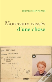 Morceaux Casses D'Une Chose