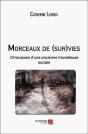 Morceaux De (Sur)Vies : Chroniques D'Une Ancienne Travailleuse Sociale - Preview