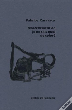 Capa do artigo Morcellement De Je Ne Sais Quoi De Coloré