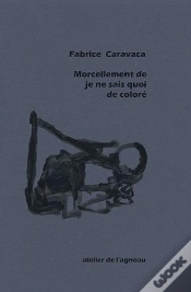 Capa do artigo Morcellement De Je Ne Sais Quoi De Coloré