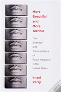 Capa do artigo More Beautiful And More Terrible