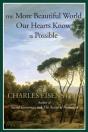 More Beautiful World Our Hearts Know Is Possible - Preview