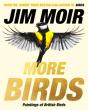 More Birds - Preview