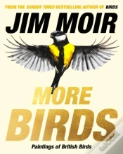 Capa do artigo More Birds