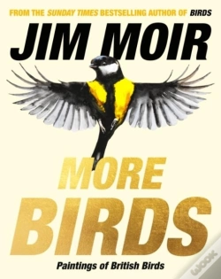 Capa do artigo More Birds