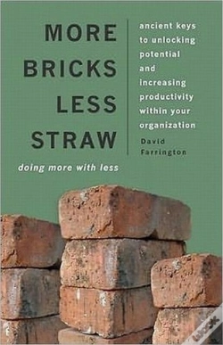 Capa do artigo More Bricks Less Straw