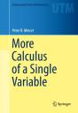 More Calculus Of A Single Variable - Preview