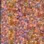 More Colours: The Million Colour Revolution Revisited - CD - Preview