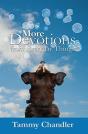 More Devotions From Everyday Things - Preview
