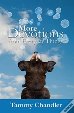 Capa do artigo More Devotions From Everyday Things