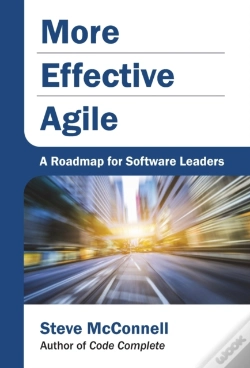 Capa do artigo More Effective Agile
