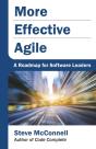 More Effective Agile - Preview
