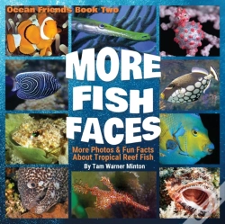 Capa do artigo More Fish Faces