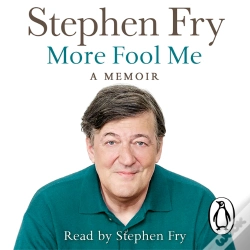Capa do artigo More Fool Me