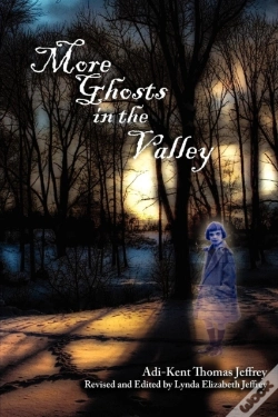 Capa do artigo More Ghosts In The Valley