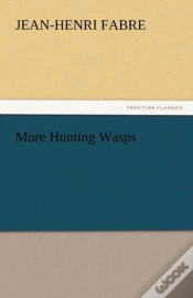 Capa do artigo More Hunting Wasps