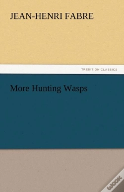 Capa do artigo More Hunting Wasps