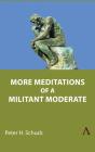 More Meditations Of A Militant Moderate - Preview