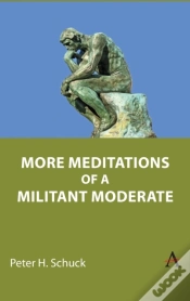 Capa do artigo More Meditations Of A Militant Moderate