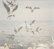Capa do artigo More Or Less - CD