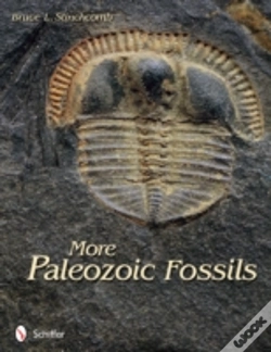 Capa do artigo More Paleozoic Fossils