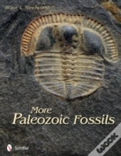 More Paleozoic Fossils