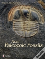 Capa do artigo More Paleozoic Fossils