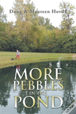 Capa do artigo More Pebbles In The Pond
