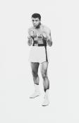 More Than A Champion