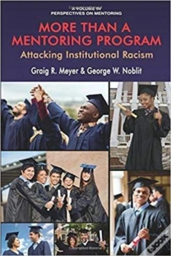 Capa do artigo More Than A Mentoring Program