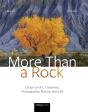More Than A Rock, 2nd Edition - Preview