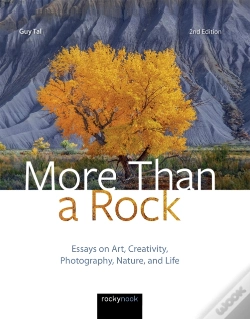Capa do artigo More Than A Rock, 2nd Edition